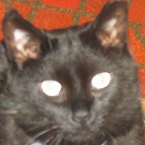 Meet your Posher, Kennedy